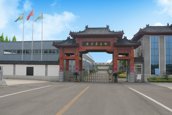 Nasha Technology Biphasic Injectable Hyaluronic Acid Dermal Filler Cross Linked 1ml